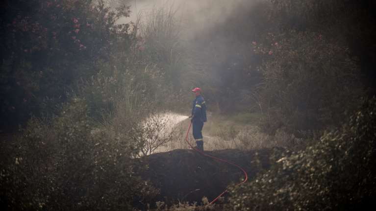 Εσβησαν οι φωτιές σε Λαμία και Τιθορέα - Αποκαταστάθηκαν τα προβλήματα ηλεκτροδότησης