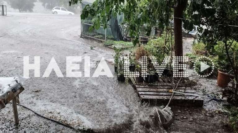 Κακοκαιρία Daniel: Έντονη βροχή και χαλαζόπτωση στην Ηλεία - Καταστροφές και πτώσεις δέντρων [εικόνες - βίντεο]