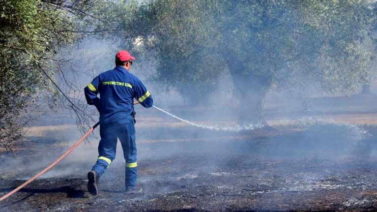 Μεσσηνία: Φωτιά στην περιοχή Χράνοι - Σηκώθηκαν δύο αεροσκάφη PZL