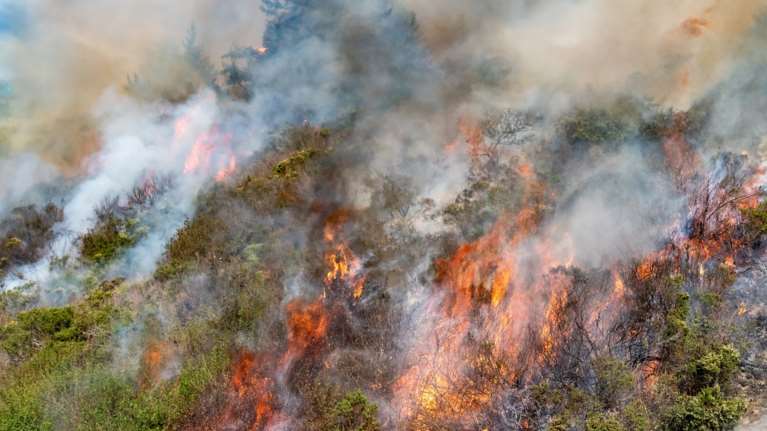 Φωτιά στους Φιλιάτες Φθιώτιδας: Επιχειρούν τέσσερα εναέρια μέσα - Μήνυμα του 112 για ετοιμότητα