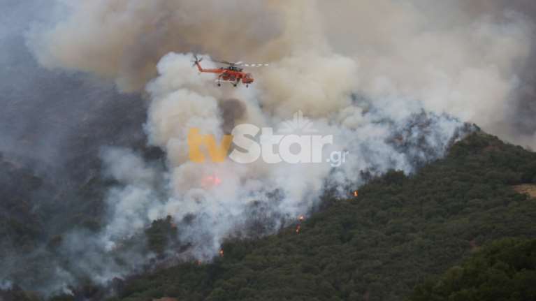 Φωτιά στη Φθιώτιδα: Σε απόσταση 800 μέτρων οι φλόγες από τα πρώτα σπίτια - Εντολή εκκένωσης στο Λογγίτσι