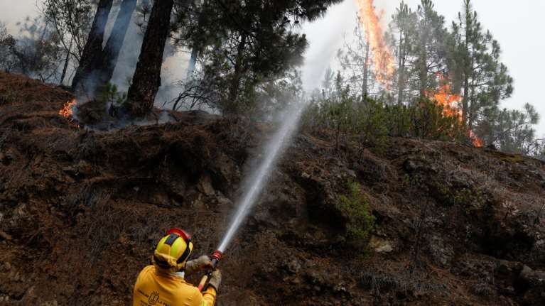 Πυρκαγιές και πρόληψη: Το παράδειγμα της Ισπανίας και η απόγνωση Στυλιανίδη με την ελληνική γραφειοκρατία