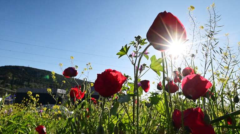 Μερομήνια 2025: Πώς θα είναι ο καιρός το Πάσχα και την Πρωτομαγιά