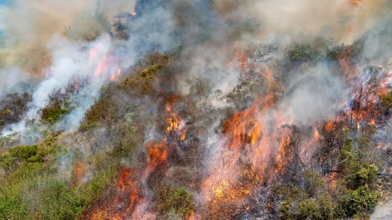 Πυρκαγιά σε εξέλιξη στον Βαρνάβα: Σε επιφυλακή εναέρια μέσα