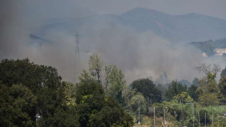 Φωτιά σε δασική έκταση στο Παρανέστι Δράμας