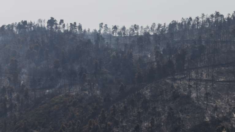 Πυρκαγιές: Κάηκαν πάνω από 1 εκατ. στρέμματα μέσα σε δύο εβδομάδες - Περίπου τα μισά στην Εύβοια