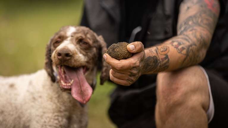 Το τριήμερο της Αποκριάς ξεκινά το Κυνήγι της Τρούφας στα Μετέωρα