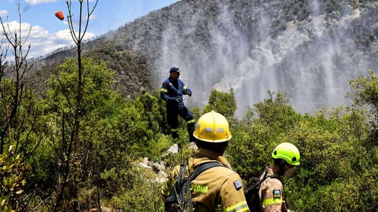 Φωτιά τώρα σε δασική έκταση στη Καμηλόβρυση Λαμίας