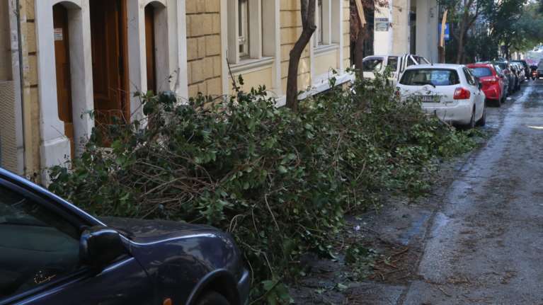Ποιοι Δήμοι αποζημιώνουν τα οχήματα που υπέστησαν ζημιές από πτώσεις δέντρων - Βήμα βήμα η διαδικασία