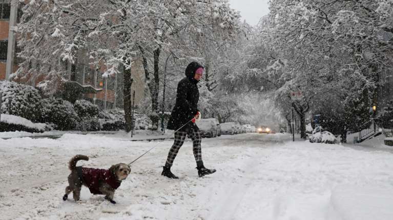 Σφοδρή χιονοθύελλα στο Βανκούβερ του Καναδά - Έκλεισαν σχολεία, ματαιώθηκαν πτήσεις [εικόνες-βίντεο]