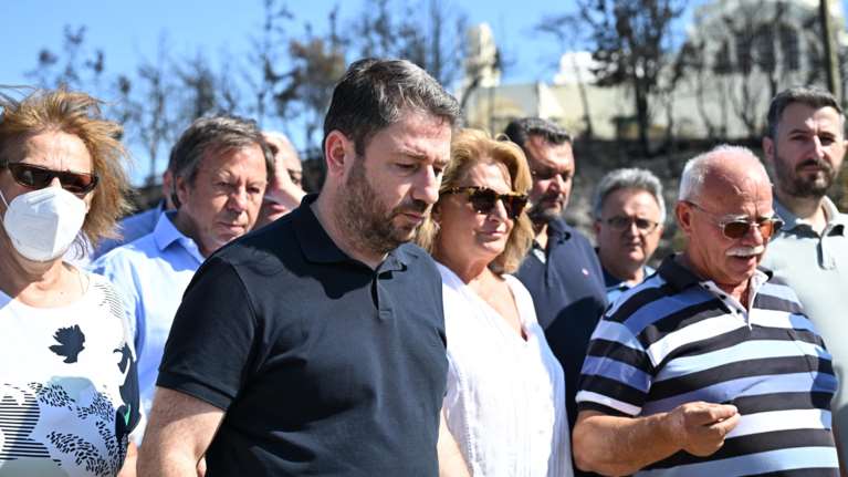 Ανδρουλάκης στα καμένα της Σαρωνίδας: Αντί η κυβέρνηση να χύνει κροκοδείλια δάκρυα, να πάρει συγκεκριμένες πρωτοβουλίες