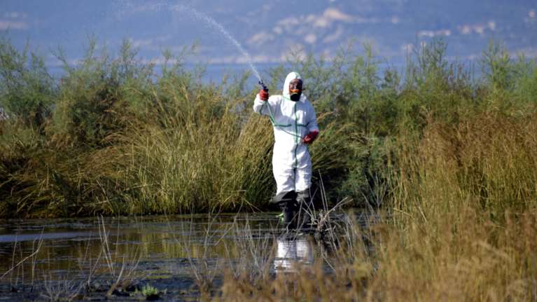 Ιός Δυτικού Νείλου: Συνολικά 282 κρούσματα από την αρχή του χρόνου - 26 θάνατοι