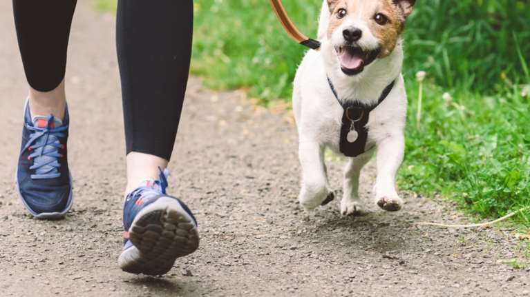 Περπάτημα: Πόσα βήματα πρέπει να κάνουμε καθημερινά για να παραμείνουμε υγιείς - Πώς μειώνεται ο κίνδυνος πρόωρου θανάτου