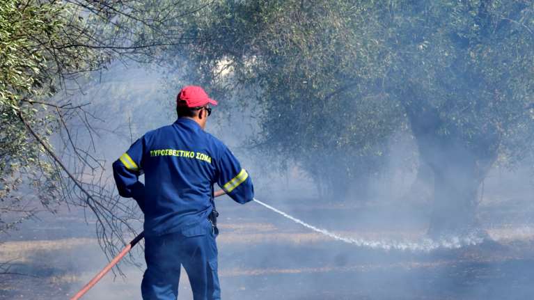 Φωτιά στο Βέλος Ευβοίας: Συναγερμός στην Πυροσβεστική καθώς απειλεί κατοικημένη περιοχή