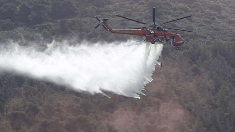 Σε ύφεση η φωτιά σε δασική έκταση στο Μαρμάρι Εύβοιας - Ισχυροί άνεμοι στην περιοχή