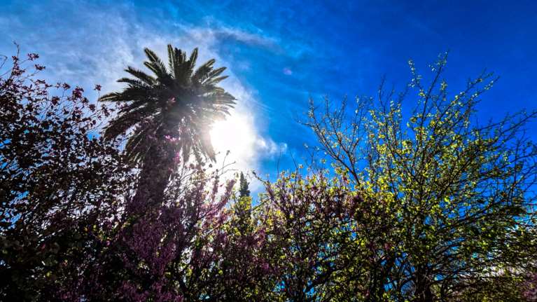 Copernicus: Ο Μάρτιος του 2024 ήταν ο 10ος συναπτός μήνας με παγκόσμιο ρεκόρ υψηλών θερμοκρασιών