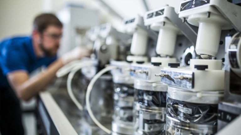 Σε συναγερμό για την ευλογιά των πιθήκων: Σε υποχρεωτική καραντίνα 21 ημερών τα κρούσματα στο Βέλγιο