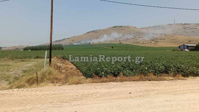 Φωτιές σε Δομοκό και Αλμυρό - Στη μάχη της κατάσβεσης και εναέρια μέσα