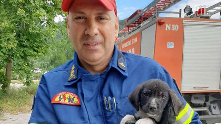 Ξάνθη: Πυροσβεστες διέσωσαν κουτάβι από φωτιά που ξέσπασε σε πρώην κλάμπ