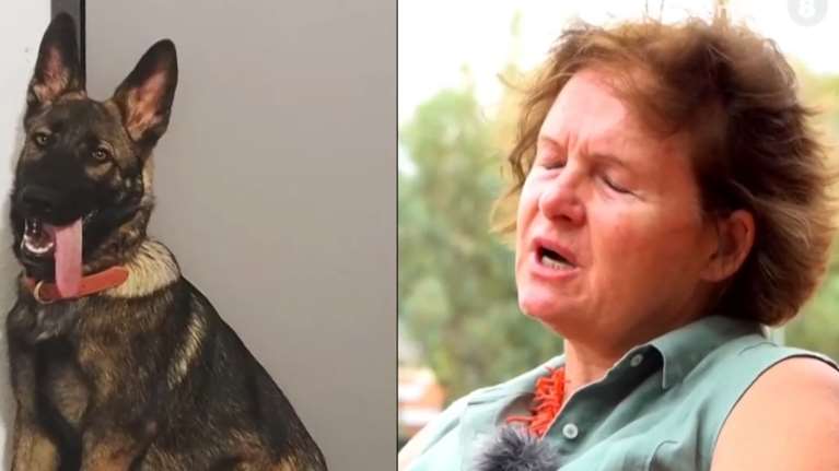 Η θεία του Τσιτσιπά μιλάει για την επίθεση του σκύλου στη Βουλιαγμένη: Ήταν λάθος μου 100% - Το θύμα με μπέρδεψε με τη Γιούλια