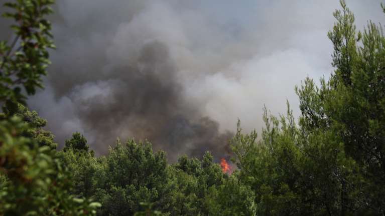 Φωτιά στο Κάστρο Βοιωτίας: Πολύ κοντά σε υποσταθμό της ΔΕΗ - Πυρκαγιά και στο Κιλκίς
