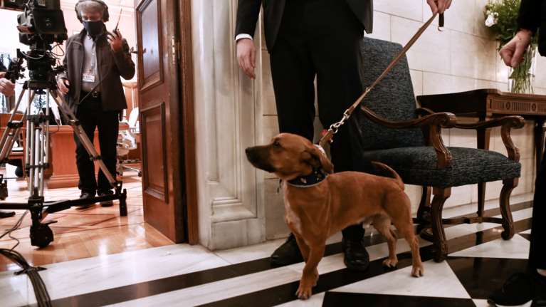 Το νέο σκυλόσπιτο του Πίνατ στο Μαξίμου το φτιάχνει κρατούμενος των φυλακών Νέας Αλικαρνασσού Κρήτης