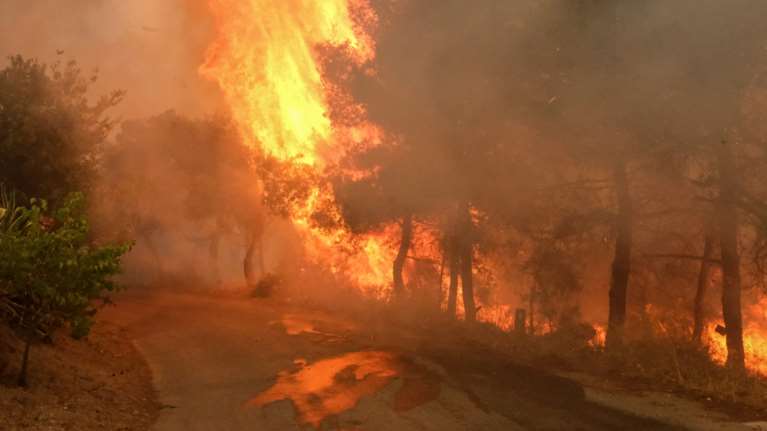 Φωτιά στα Μέγαρα: Μετά από σκληρή μάχη έχει περιοριστεί δυτικά από τη Ζάχουλη - Δεύτερο μικρό μέτωπο προς Πευκενέα