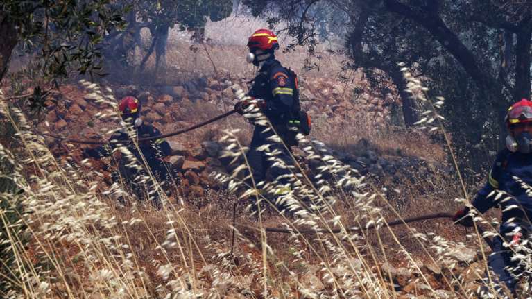 Υπό έλεγχο η φωτιά στην Οινόη - Ήχησε το 112