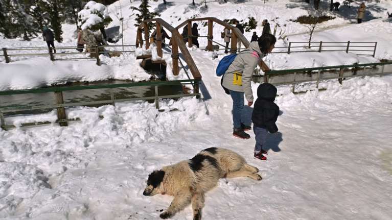 Πρόγνωση Μαρουσάκη: Η Avgi φεύγει, αλλά νέα κακοκαιρία έρχεται - Ψυχρό κύμα θα πλήξει τη χώρα το Σαββατοκύριακο