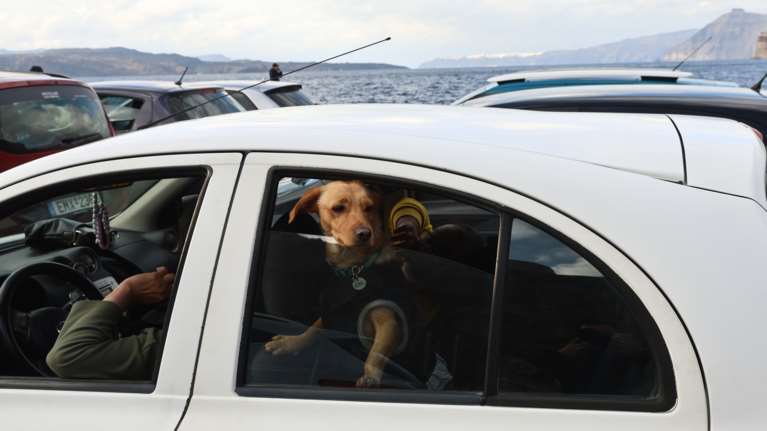 Πάσχα 2025: Ταξίδι με το κατοικίδιό σας - Όλα όσα πρέπει να προσέξετε