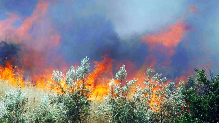 Φωτιές: Συλλήψεις και πρόστιμα για πυρκαγιές σε Νάξο, Φωκίδα, Πέλλα, Κέρκυρα, Φθιώτιδα, Καρδίτσα, Αττική