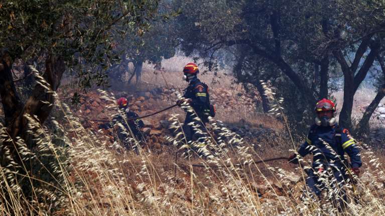 Βελτιωμένη εικόνα και με τις φωτιές στο Κιλκίς - Η φωτιά ξέσπασε στη Βόρεια Μακεδονία και πέρασε τα σύνορα