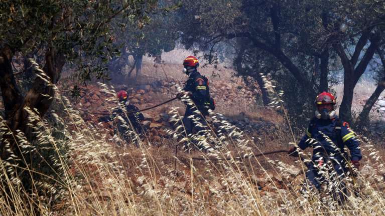 Φωτιά στην Ηλεία: Συναγερμός για τα Λεχαινά - Μήνυμα 112, σηκώθηκαν πέντε εναέρια μέσα