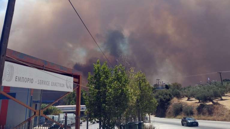 Οριοθετήθηκε η φωτιά στο Πευκόφυτο στον Άγιο Στέφανο
