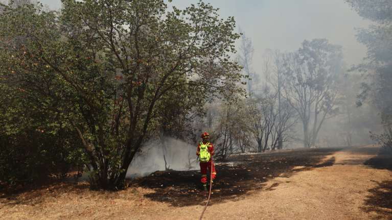 Φωτιά στην Αγία Μαρίνα στο Κορωπί