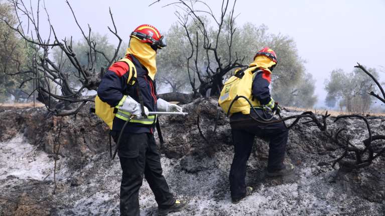 Αρκαδία: Υπό πλήρη έλεγχο τα πύρινα μέτωπα - Παραμένουν σε επιφυλακή οι πυροσβεστικές δυνάμεις