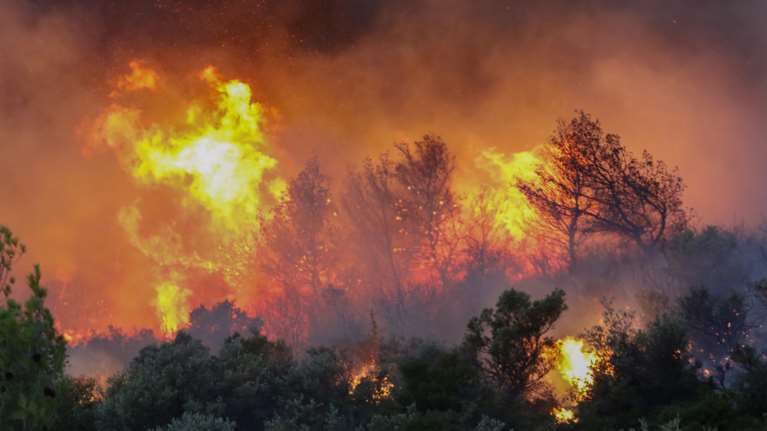 Φωτιά στην Πάρνηθα: Αγωνία και μάχη με τις φλόγες στον Εθνικό Δρυμό - Παράθυρο ευκαιρίας η αλλαγή κατεύθυνσης του ανέμου