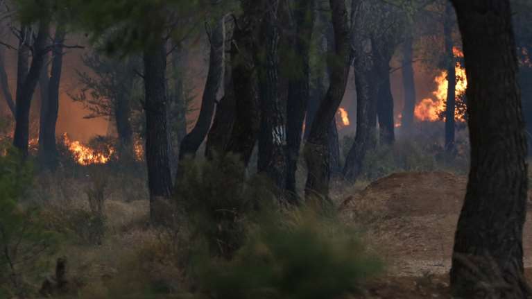 Κιάλια, αναπτήρες, βαμβάκι και τσακμάκι βρέθηκαν πάνω στον ύποπτο για εμπρησμό στον Αυλώνα- Αναπτήρες είχε και ο ύποπτος στο Μενίδι…