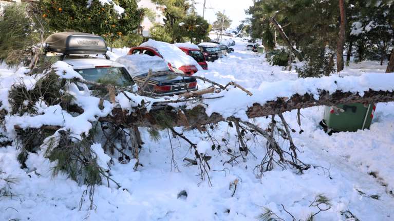 Ακόμα μαζεύουν δέντρα και κλαδιά στον Δήμο Παπάγου-Χολαργού από την κακοκαιρία &quot;Ελπίδα&quot;