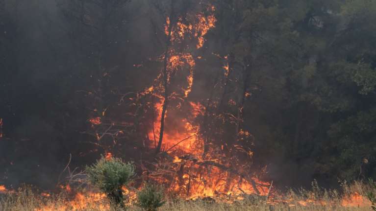 Φωτιά στη Θάσο: Προθεσμία να απολογηθεί την Παρασκευή πήρε ο 65χρονος - Κατηγορείται για εμπρησμό από πρόθεση