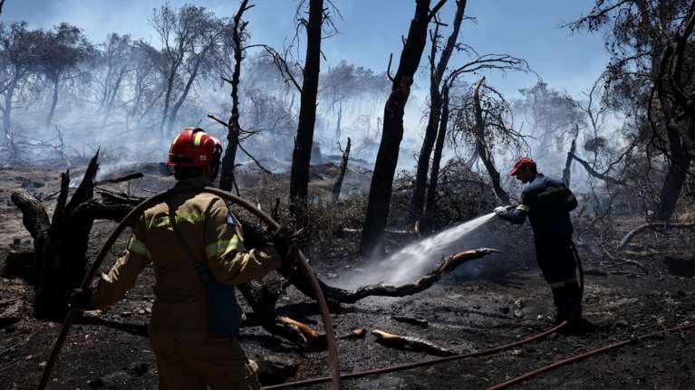 Φωτιά στην Ηλεία: Συνελήφθη άνδρας για εμπρησμό στα Άγναντα - Τον είδαν κάτοικοι να βάζει φωτιά