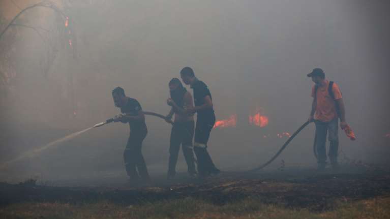 Φωτιά στη Μεσσηνία: Διάσπαρτες εστίες αλλά καλύτερη η εικόνα - Ξεκίνησαν να επιχειρούν τα εναέρια μέσα