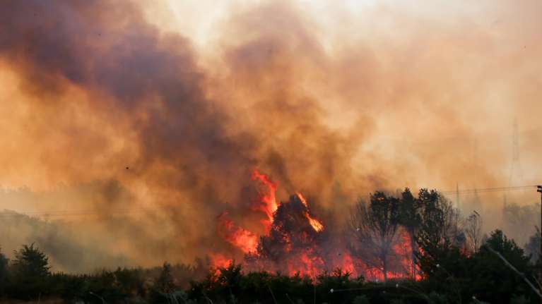 Λάρισα: Στον εισαγγελέα 70χρονος για εμπρησμό σε οικόπεδο - Υπάρχουν καταγγελίες ότι το έχει ξανακάνει [βίντεο]