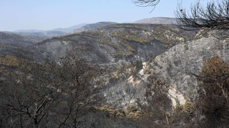 Φωτιά στη Μάνδρα: Συνελήφθη άνδρας για εμπρησμό από αμέλεια - Απλώς του επιβλήθηκε πρόστιμο