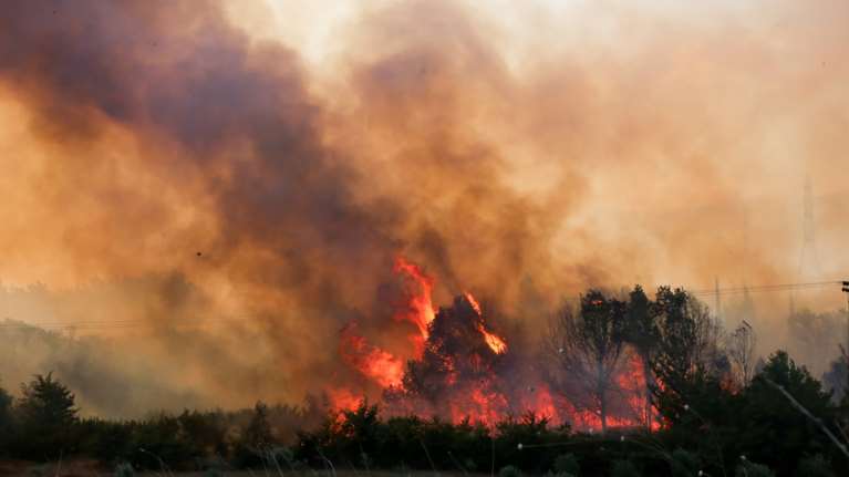Φωτιά στον Έβρο για 14η ημέρα: Οι άνεμοι έστρεψαν την πυρκαγιά ξανά προς τη Δαδιά – Ξεπηδούν συνεχώς νέα μέτωπα