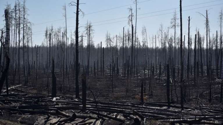 Τσερνόμπιλ : Τι λένε οι ειδικοί για τη φωτιά – Πόσο κινδυνεύει η Ελλάδα [βίντεο]