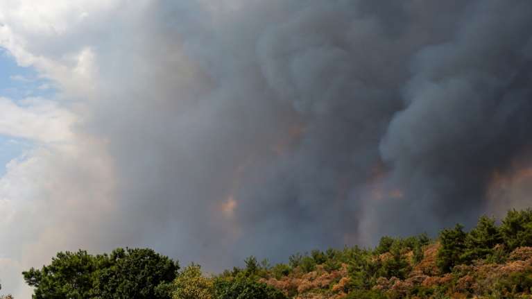 Μάστιγα οι εμπρησμοί από αμέλεια: Καίνε ξερά κλαδιά και προκαλούν τεράστιες καταστροφές - Συλλήψεις από την ΕΛΑΣ