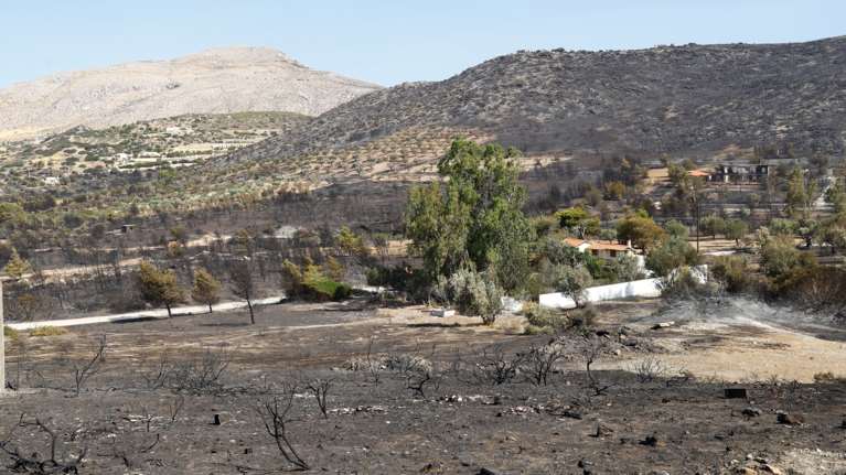Πυρκαγιά στην Κερατέα: Συνελήφθησαν δύο υπάλληλοι του ΔΕΔΔΗΕ - Αναζητείται στέλεχος [εικόνες]