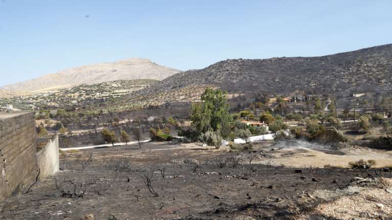 Καταβλήθηκαν οι αποζημιώσεις στους πληγέντες από την πυρκαγιά στο Κρυονέρι Αττικής τον φετινό Ιούλιο