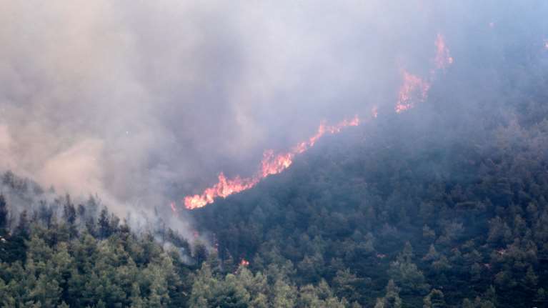 "Στάχτη" πάνω από 18 εκατ. στρέμματα δάσους στην Ελλάδα τα τελευταία 40 χρόνια - Ανυπολόγιστη καταστροφή
